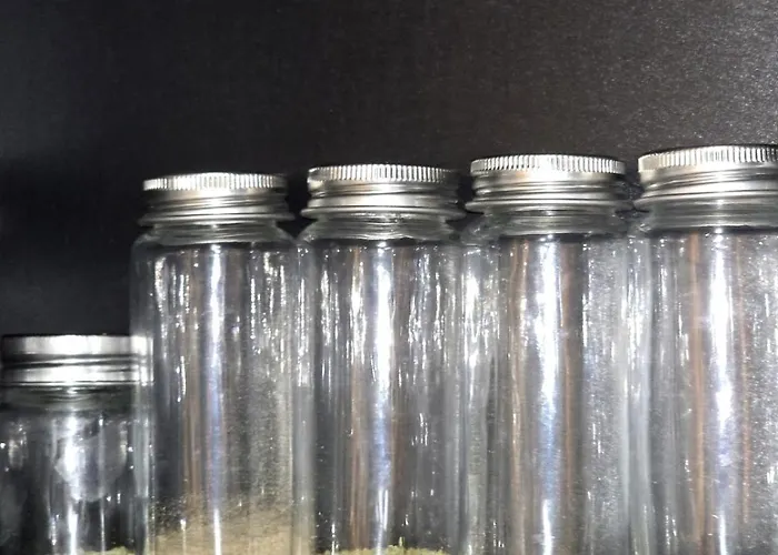 Apartment Hypercentre Mons (Bergen)